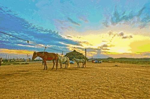 1565604263128914.gif 微信图片_20190812172231.gif