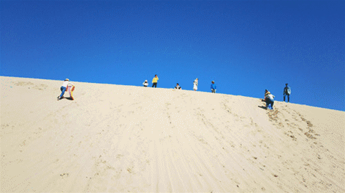 1565604356104967.gif 微信图片_20190812172545.gif