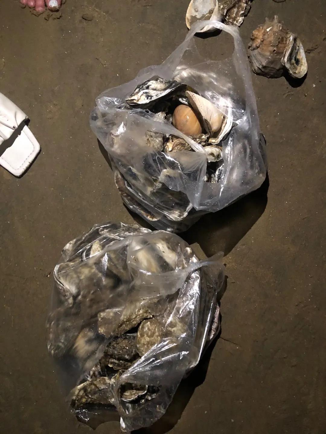 1628243114414737.jpg 1628243114414737.jpg